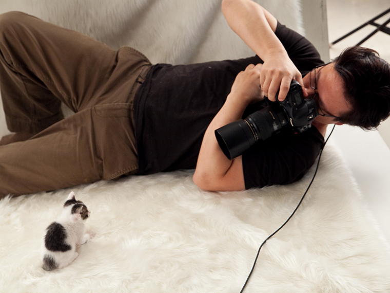 スタジオ撮影ロングプラン（背景2パターン）猫 ｜ ペット写真スタジオ アトリエ ルシャ│犬/猫