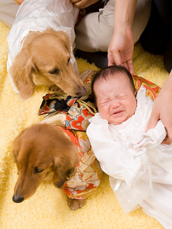 ご自宅出張家族写真プラン 犬と赤ちゃん  新宿区
