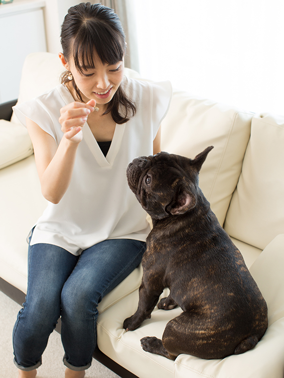 お客様からのコメント