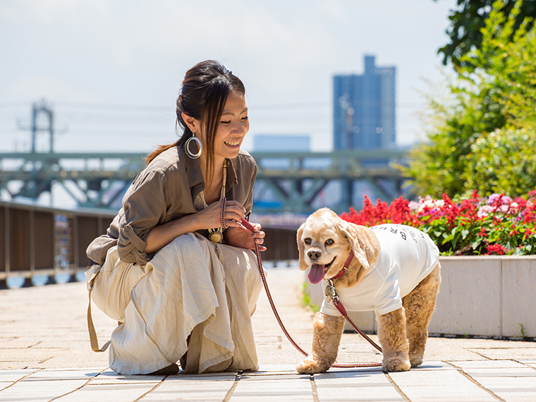 お客様からのコメント