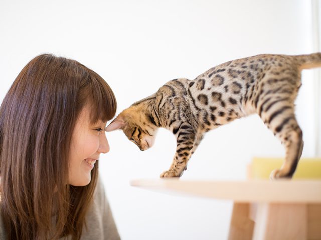 お客様からのコメント