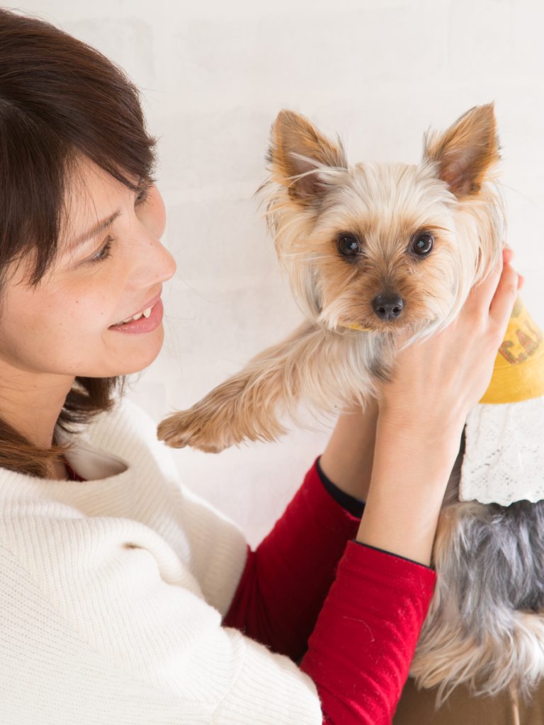 スタジオ撮影プラン 犬