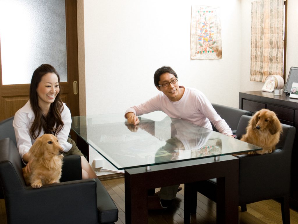 出張撮影ご家族一緒 ロングプラン　犬2匹　ロケ＆自宅（新宿区）