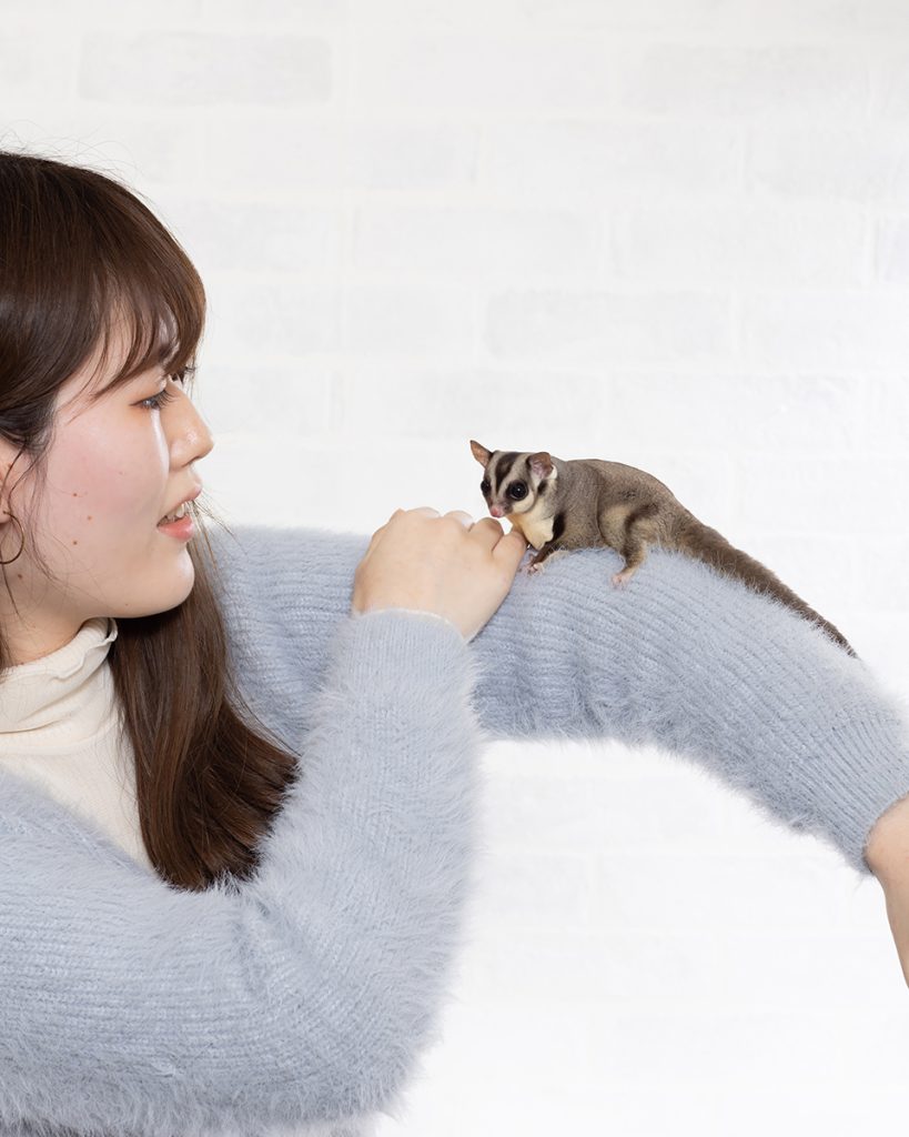 お客様からのコメント