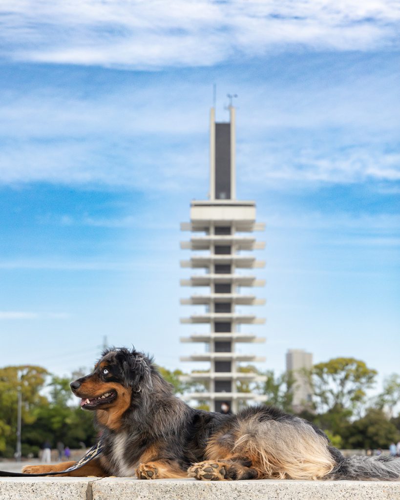 出張撮影プラン 駒沢公園