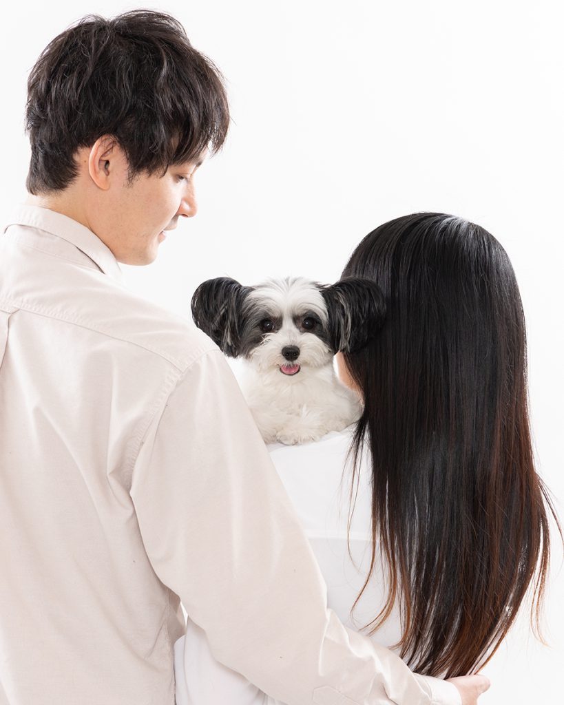 Anny家族写真プラン 犬猫