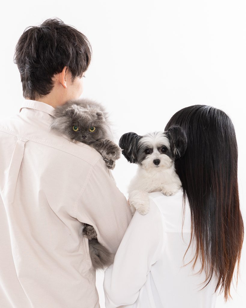 お客様からのコメント